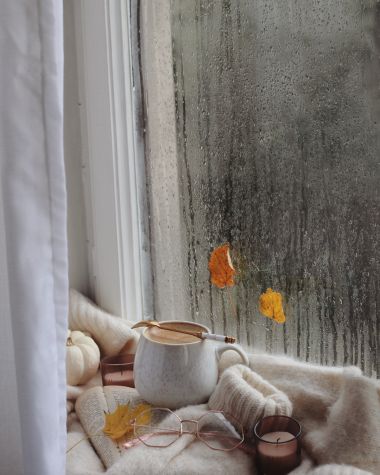 L'automne est là, l'humidité aussi !